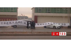 贵南如何避免债务纠纷？专业追讨公司教您应对之策